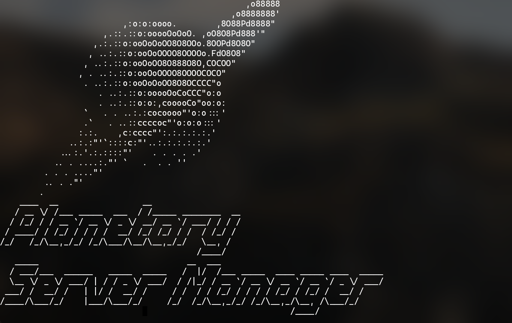 Screencapture of a terminal displaying an ASCII art ringed planet. Under the planet are the words "Planetary Server Manager". psm-ascii